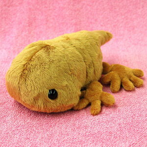 cutie! TVEEI/񂵂傤/R TCY:22cm ӂӂ  ӂ ʂ @Mtg 蕨 j v[g a 傫/ CeA