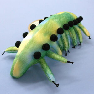 �~�N���f�B�N�`�I�� Microdictyon sinicum �T�C�Y:21cm �ӂ�ӂ� �������� ���ӂ��� �ʂ������ ��������@�M�t�g ���蕨 ���j�� �v���[���g ���a���� �傫��/������ �C���e���A