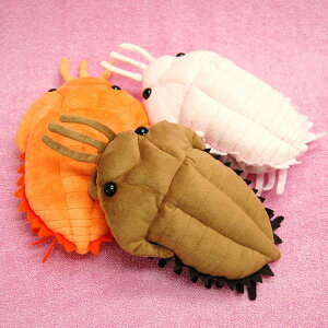 �O�t�� �T�C�Y:29cm �ӂ�ӂ� �������� ���ӂ��� �ʂ������ ��������@�M�t�g ���蕨 ���j�� �v���[���g ���a���� �傫��/������ �C���e���A