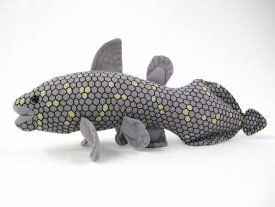 シーラカンス Coelacanth サイズ：30cm ふわふわ もちもち もふもふ ぬいぐるみ おもちゃ　ギフト 贈り物 お祝い プレゼント お誕生日 大きい/小さい インテリア
