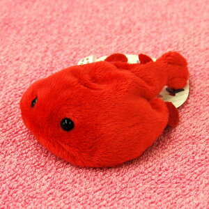 Little Beans �A�J�O�c/�������� �T�C�Y:9.5cm �ӂ�ӂ� �������� ���ӂ��� �ʂ������ ��������@�M�t�g ���蕨 ���j�� �v���[���g ���a���� �傫��/������ �C���e���A