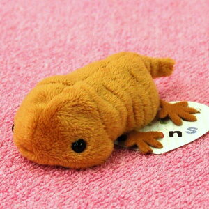 Little Beans TVEEI/񂵂傤/R TCY:10cm ӂӂ  ӂ ʂ @Mtg 蕨 j v[g a 傫/ CeA