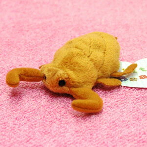 Little Beans ^K TCY:10cm ӂӂ  ӂ ʂ @Mtg 蕨 j v[g a 傫/ CeA