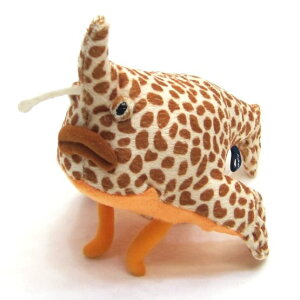 �����O�m�[�Y�o�b�g�t�B�b�V�� longnose batfish�T�C�Y:27cm �ӂ�ӂ� �������� ���ӂ��� �ʂ������ ��������@�M�t�g ���蕨 ���j�� �v���[���g ���a���� �傫��/������ �C���e���A