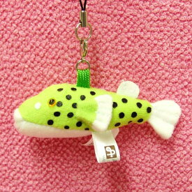 ミドリフグ携帯ストラップ サイズ:7cm