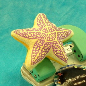 StarFish }Olbg }qgf TCY:8.5cm ӂӂ  ӂ ʂ @Mtg 蕨 j v[g a 傫/ CeA