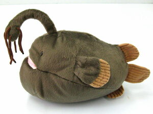 [CV[Y mar `E`ARE TCY:21cm ӂӂ  ӂ ʂ @Mtg 蕨 j v[g a 傫/ CeA