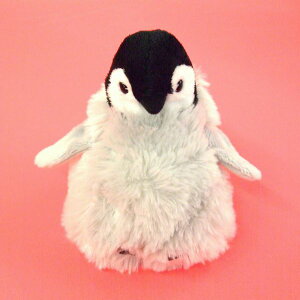 sucre cyM q S TCY:14cm ӂӂ  ӂ ʂ @Mtg 蕨 j v[g a 傫/ CeA