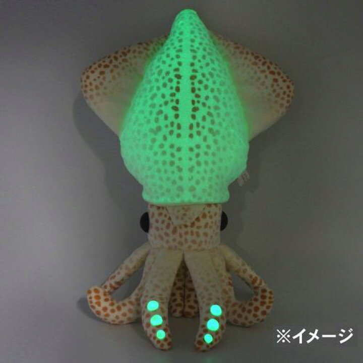 楽天市場 ほんのり光る ホタルイカぬいぐるみ 蛍烏賊 ほたるいか Firefly Squid サイズ 30cm Love Journey