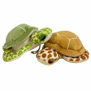 Little Beans r[ E~K L[z_[ TCY:13cm  J CT seaturtle L[`F[ obO`[ ӂӂ  ӂ ʂ  Mtg 蕨 j v[