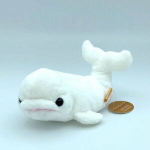 Little Beans �����r�[�� �V���C���J M �T�C�Y:14cm �����邩 �C�� �� �x���[�K Beluga �ӂ�ӂ� �������� ���ӂ��� �ʂ������ ��������@�M�t�g ���蕨 ���j�� �v���[���g ���a���� �傫��/������ 