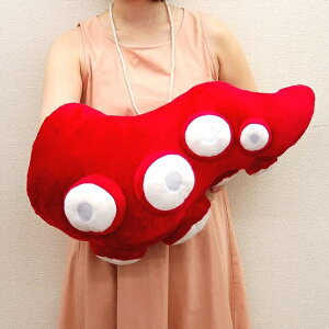 ̎ L  /^R TCY:66cm ӂӂ  ӂ ʂ @Mtg 蕨 j v[g a 傫/ CeA NbV