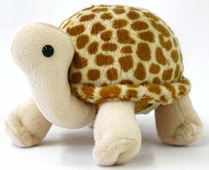 NK Vh BROWN TCYFH10cm 肭  J T Tortoise ӂӂ  ӂ ʂ @Mtg 蕨 j v[g a 傫/ Ce