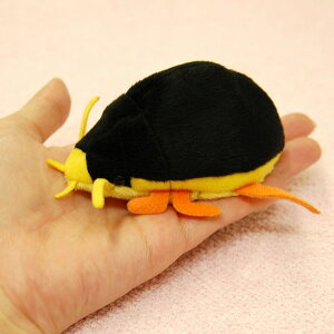 Little Beans �Q���S���E �T�C�Y:10cm �ӂ�ӂ� �������� ���ӂ��� �ʂ������ ��������@�M�t�g ���蕨 ���j�� �v���[���g ���a���� �傫��/������ �C���e���A