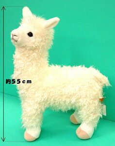 ApJ pi XL TCYFH55cm(I) ӂӂ  ӂ ʂ @Mtg 蕨 j v[g a 傫/ CeA