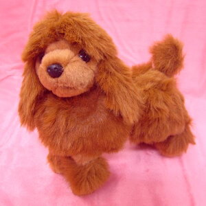 gCv[h BROWN bh AvRbg PlNbv R`l^Nbv TCY:@悩炨K܂20cm ӂӂ  ӂ ʂ @Mtg 蕨 j