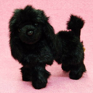 PlNbv/R`l^Nbv gCv[h ubN TCY:@悩炨K܂20cm ӂӂ  ӂ ʂ @Mtg 蕨 j v[g 