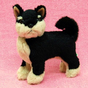 Č/΂/VoCk/܂߂ ubN^ TCY:@悩炨K܂21cm