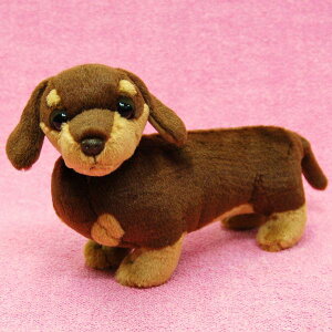 X[XwA[h_bNXtg `R[g^ TCY:@悩炨K܂26cm ӂӂ  ӂ ʂ @Mtg 蕨 j v[g a 傫/