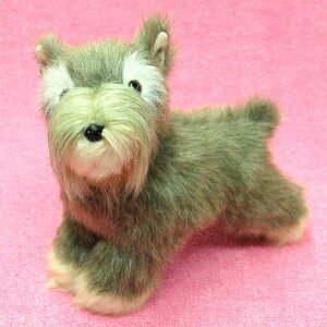 ~j`AEViEU[eA TCY:@悩炨K܂21cm