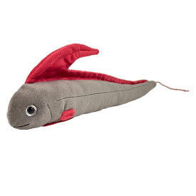 N リュウグウノツカイ サイズ:45cm 竜宮の使い Oarfish