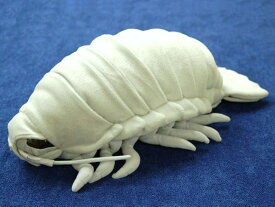 ダイオウグソクムシ特大 サイズ:55cm(送料無料♪) ふわふわ もちもち もふもふ ぬいぐるみ おもちゃ　ギフト 贈り物 お祝い プレゼント お誕生日 大きい/小さい インテリア