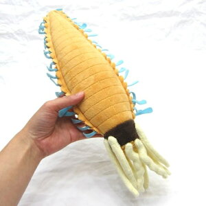 �C�J���V �T�C�Y:42cm