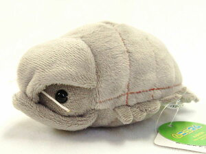 j} M _CIEO\NV TCY:13.5cm ӂӂ  ӂ ʂ @Mtg 蕨 j v[g a 傫/ CeA