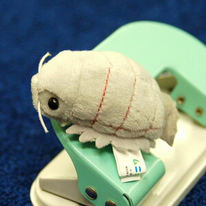 j} }Olbg _CIEO\NV TCY:6cm ӂӂ  ӂ ʂ @Mtg 蕨 j v[g a 傫/ CeA