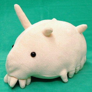 [CV[Y ZWi}R BEIGE TCY:23cm ӂӂ  ӂ ʂ @Mtg 蕨 j v[g a 傫/ CeA