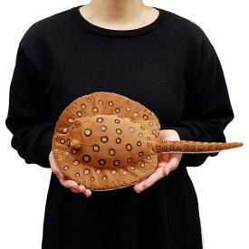 わくわく図鑑 モトロ 淡水エイ サイズ:40cm ふわふわ もちもち もふもふ ぬいぐるみ おもちゃ　ギフト 贈り物 お祝い プレゼント お誕生日 大きい/小さい インテリア