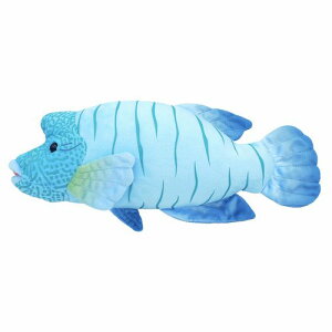 킭킭} i|ItBbV TCY:30cm Kl`mEI Napoleonfish ӂӂ  ӂ ʂ @Mtg 蕨 j v[g a 傫/ C