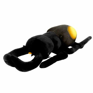 킭킭} p[t^}^NK^ TCY:30cm ҌL` ӂ܂킪  Hexarthrius Parryi, Stag Beetle, Insect ӂӂ  ʂ @Mtg 蕨 j v[g 