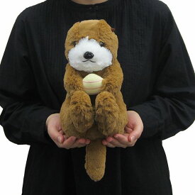 わくわく図鑑 ラッコ サイズ:25cm ふわふわ もちもち もふもふ ぬいぐるみ おもちゃ　ギフト 贈り物 お祝い プレゼント お誕生日 大きい/小さい インテリア