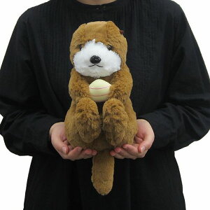 킭킭} bR TCY:25cm ӂӂ  ӂ ʂ @Mtg 蕨 j v[g a 傫/ CeA