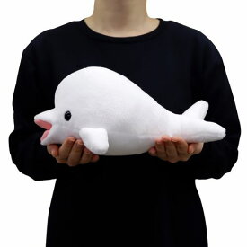 わくわく図鑑 シロイルカ (ベルーガ) サイズ:25cm ふわふわ もちもち もふもふ ぬいぐるみ おもちゃ　ギフト 贈り物 お祝い プレゼント お誕生日 大きい/小さい インテリア