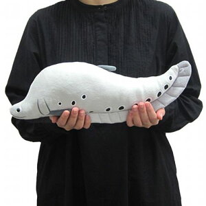 킭킭} iCttBbV TCY:40cm ӂӂ  ӂ ʂ @Mtg 蕨 j v[g a 傫/ CeA