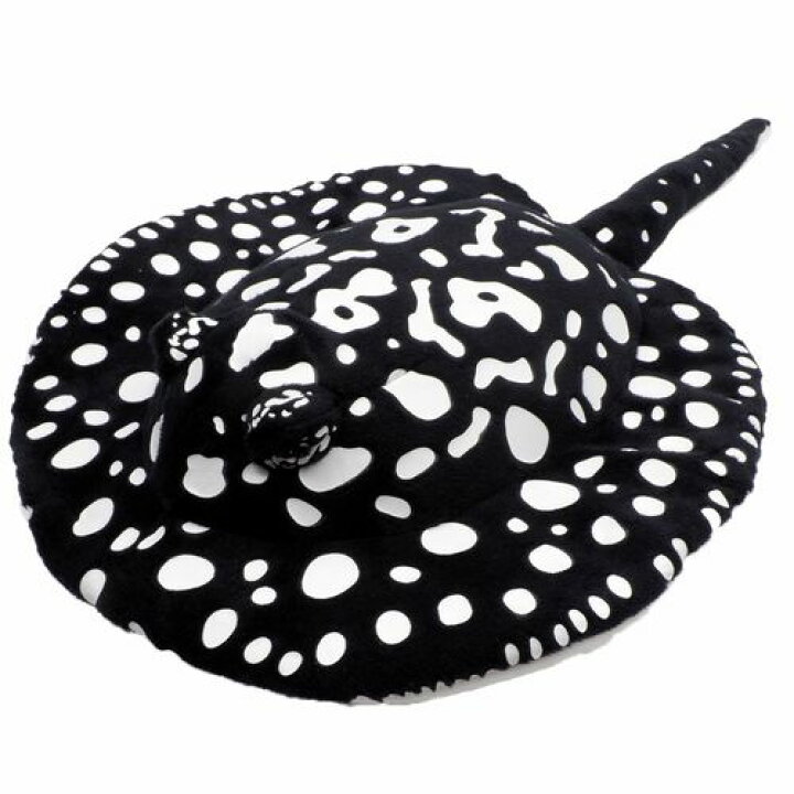 楽天市場】わくわく図鑑 淡水エイ サイズ:37cm ポルカドット 