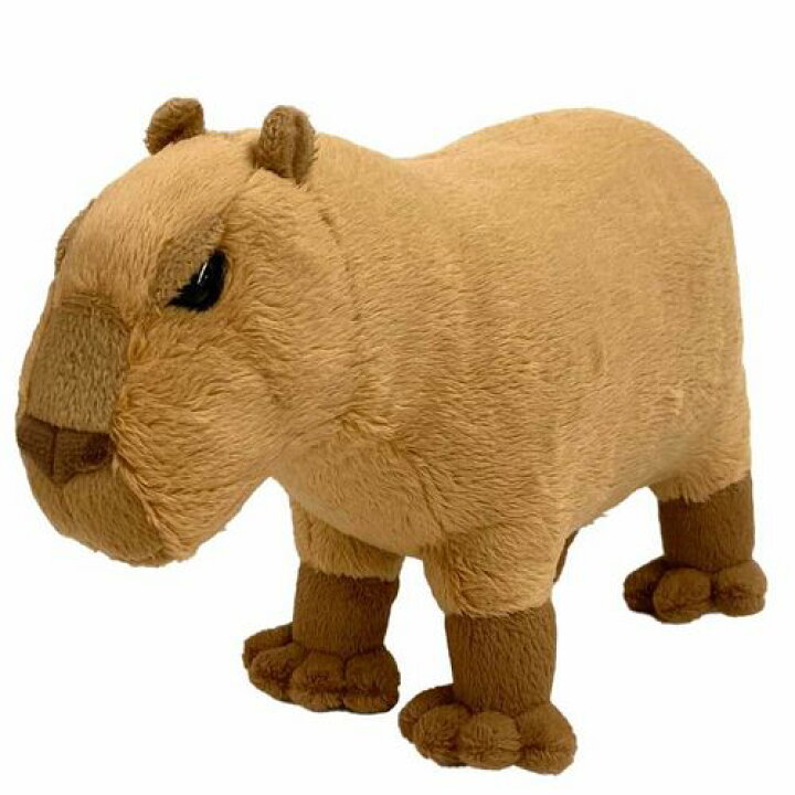 楽天市場】わくわく図鑑 カピバラ サイズ:22cm かぴばら Capybara オニ 