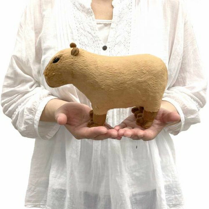 楽天市場 わくわく図鑑 カピバラ サイズ 22cm かぴばら Capybara オニテンジクネズミ 鬼天竺鼠 Love Journey