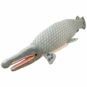 킭킭} AQ[^[K[ TCY:50cm Alligator gar ӂӂ  ӂ ʂ @Mtg 蕨 j v[g a 傫/ CeA