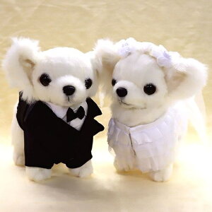 EFJh[ ` WHITE VYVwZbg TCY:22cm ӂӂ  ӂ ʂ @Mtg 蕨 j v[g a 傫/ CeA  E