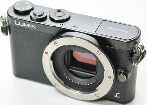 Panasonic fW^J ~bNX GM1 ubN DMC-GM1 {fB