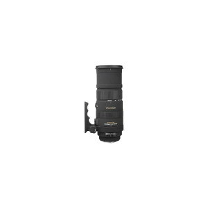 SIGMA 超望遠ズームレンズ APO 150-500mm F5-6.3 DG OS HSM ニコン用 フルサイズ対応 737559
