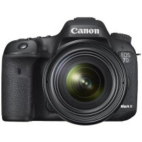 楽天市場】canon ef24－70mm f4l is usmの通販