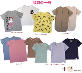 【送料無料】■2024年春夏新作■◇レディース 福袋 訳あり ワケあり tシャツ カットソー 無地 プリント カジュアル シンプル 2024 ◇春夏 半袖 Tシャツ 訳あり 詰め込み 6点+おまけ入り レディース 福袋［5007000000］