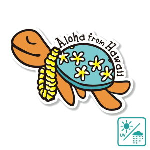 nCAXebJ[ 邩zkC u[  An nCAG 킢 zk E~K  s X[cP[X X}z