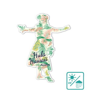 nCAXebJ[ {^jJtK[  An nCAG 킢 HULA  s X[cP[X X}z