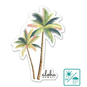 nCA XebJ[ VOf[Valoha HAWAII  An nCAG 킢 V  s X[cP[X X}z