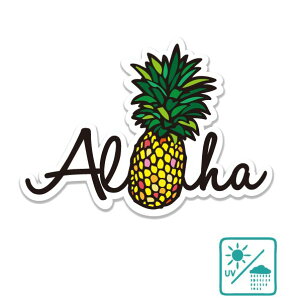 nCA XebJ[ AlohapC  An nCAG 킢 pC pCibv  s X[cP[X X}z